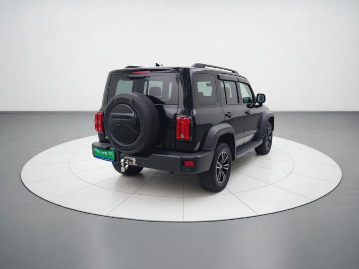 300 2021 Off-road 2.0T photo 6