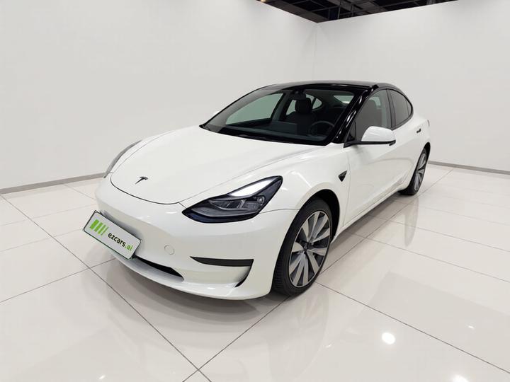 Model 3 2021 Standard Range RWD Upgraded 3D6