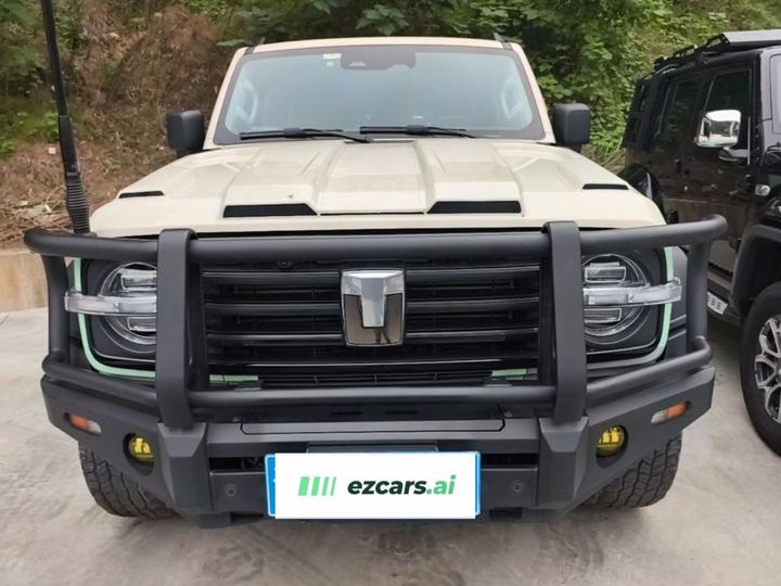 300 2021 Off-road 2.0T Conqueror photo 2