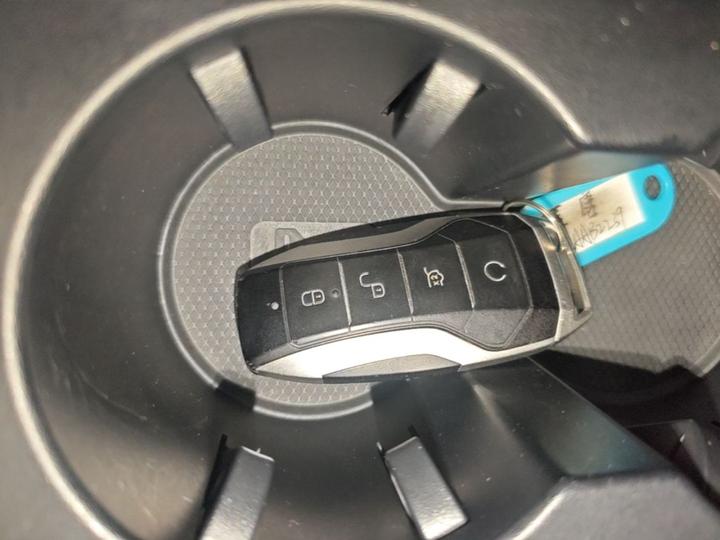Tang EV 2021 EV AWD Performance Noble photo 8