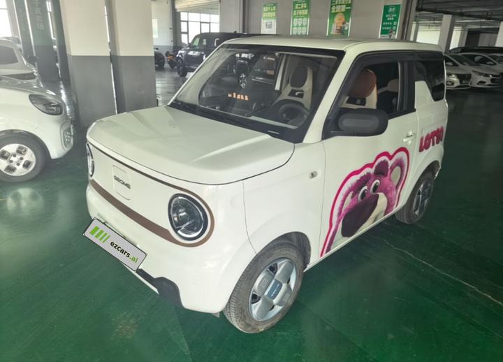 2024 Panda mini 200km Endurance Bear