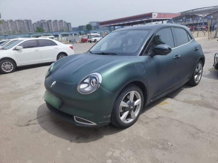 Good Cat 2021 400km Standard Range LFP