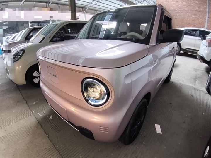 2023 Panda mini 200km Endurance Bear