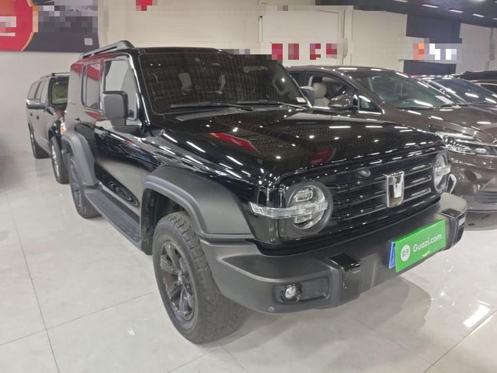 300 2023 Off-road 2.0T Conqueror photo 3