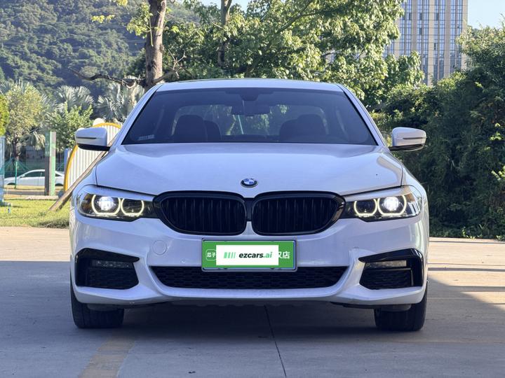 5 Series 2019 530Li Leading M Sport Package photo 4