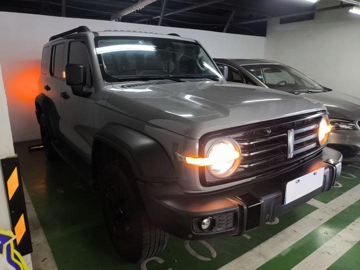 300 2021 Off-road 2.0T photo 3