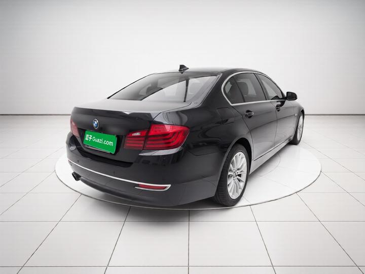 5 Series 2017 525Li Luxury Design Package photo 6