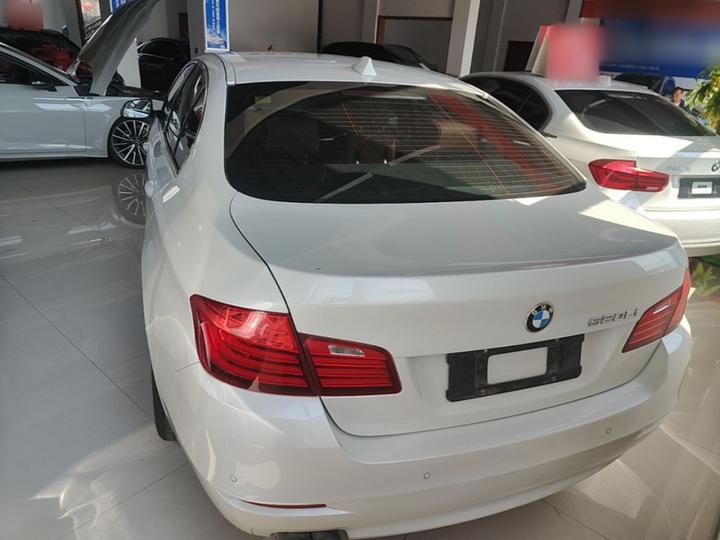 5 Series 2014 520Li photo 3