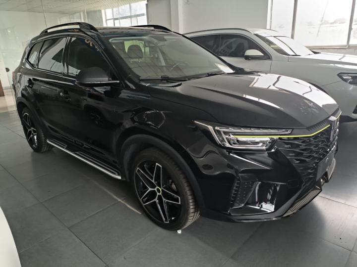 RX5 EV 2021 ePLUS Luxury photo 3