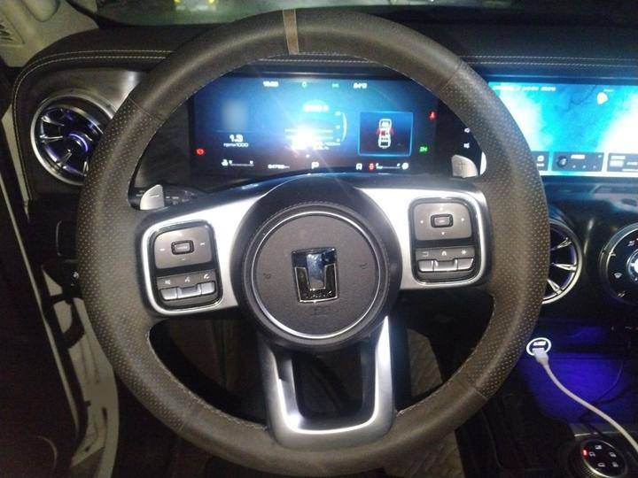 300 2021 Off-road 2.0T Conqueror photo 3