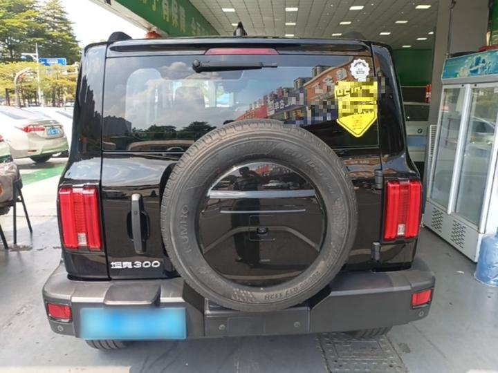 300 2021 Off-road 2.0T Conqueror photo 5