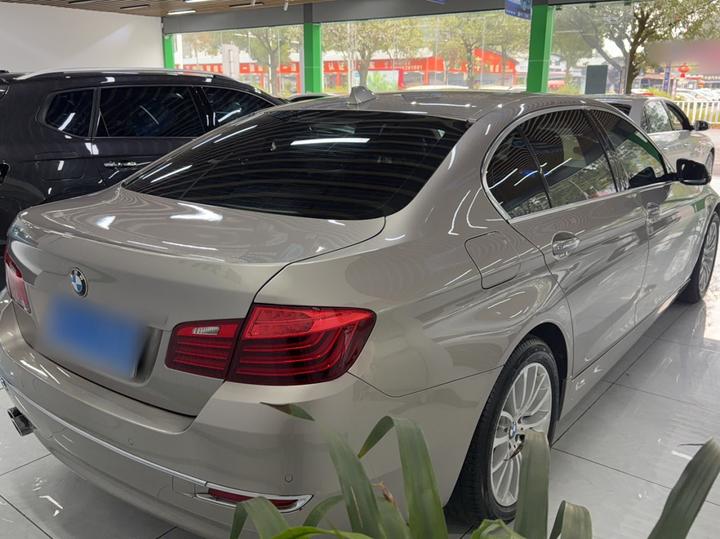5 Series 2017 525Li Luxury Design Package photo 7