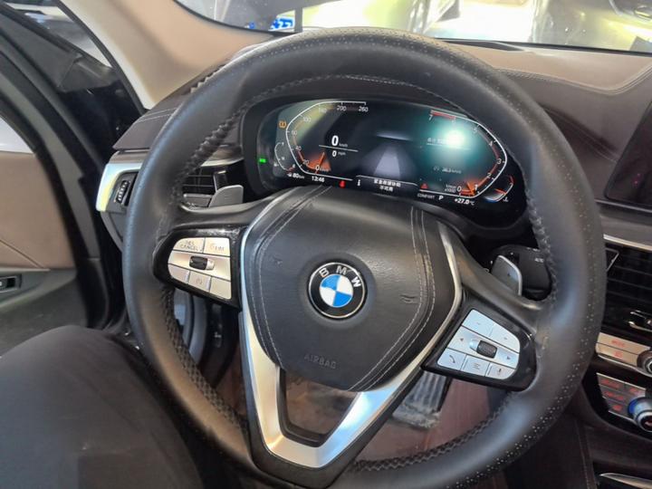 5 Series 2020 530Li Exclusive Luxury photo 6