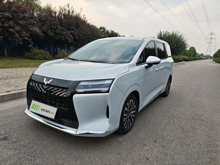 730 EV 2025 125km Luxury