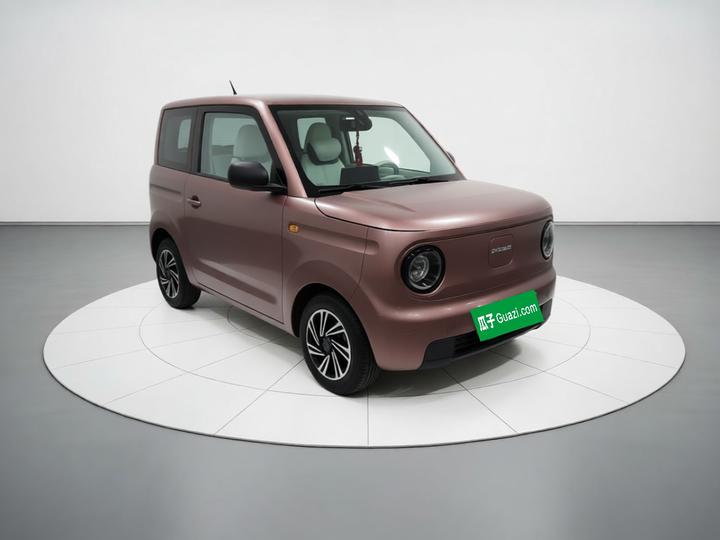 2023 Panda mini 200km Endurance Bear photo 3