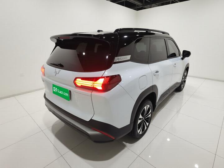 560 EV 2026 125km Luxury photo 6