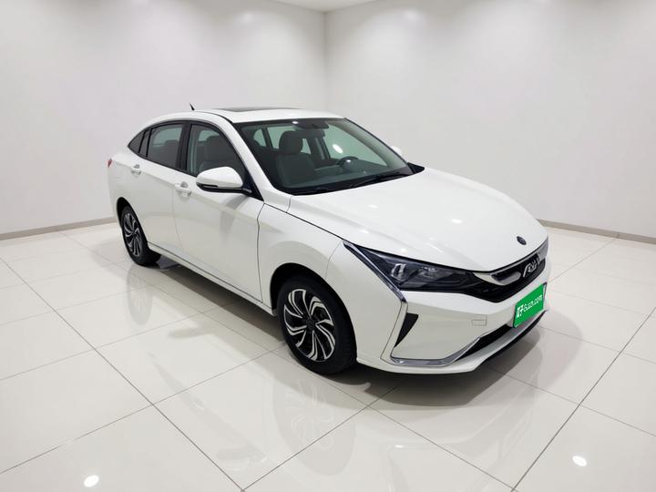 Yixuan 2021 230T AT photo 3