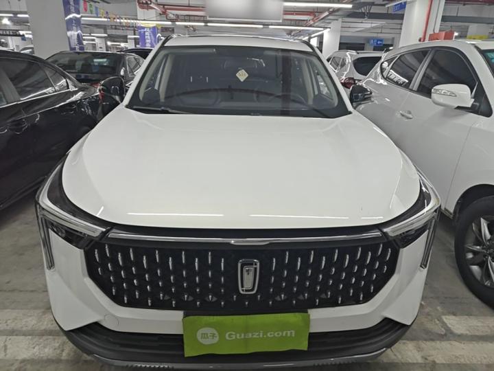 Bestune T55 2023 1.5T AT photo 2