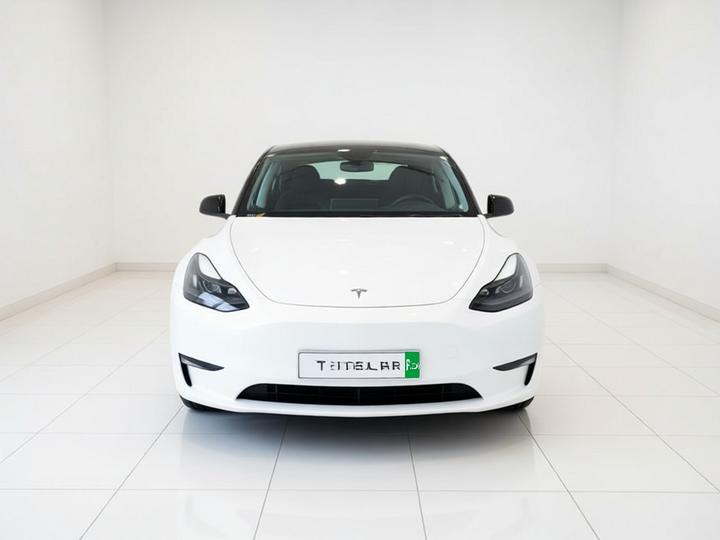 Model Y 2022 Performance AWD photo 2
