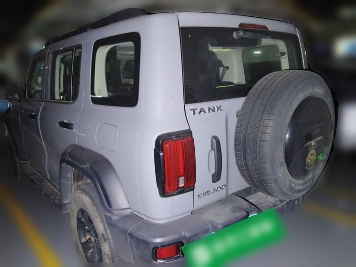 300 2021 Off-road 2.0T photo 4