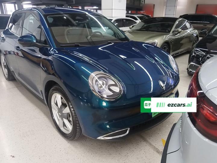 Good Cat 2023 401km Standard Range Luxury LFP photo 3