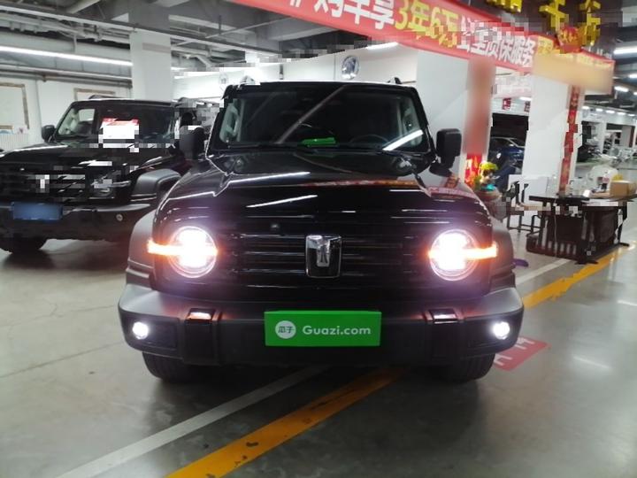 300 2024 2.0T Conqueror photo 2