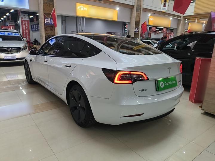 Model 3 2021 Facelift Standard Range RWD Upgraded 3D1 photo 4