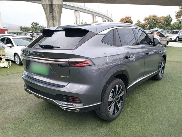 RX5 EV 2023 eRX5 photo 6