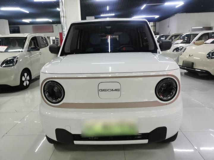 2023 Panda mini 200km Endurance Bear photo 2