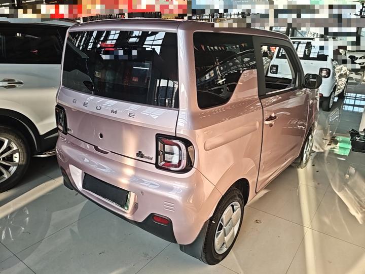 2023 Panda mini 200km Endurance Bear photo 6