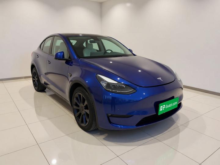 Model Y 2021 Standard Range RWD photo 3