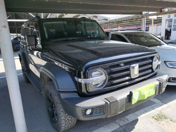 300 2021 Off-road 2.0T Conqueror photo 3