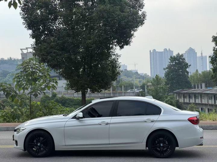 3 Series 2019 320Li Fashion photo 4