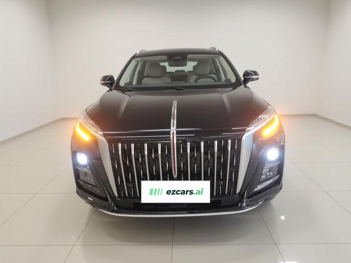 HS3 PHEV 2025 125km PLUS 200 Anniversary Edition photo 2