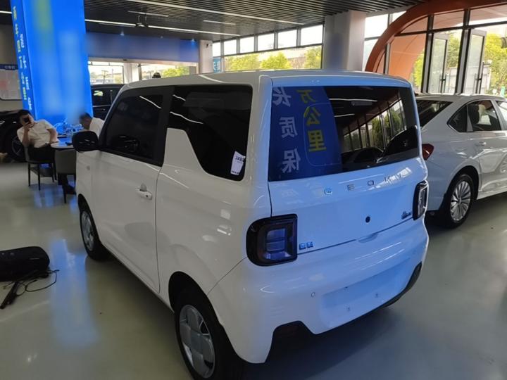 2023 Panda mini 200km Endurance Bear photo 4