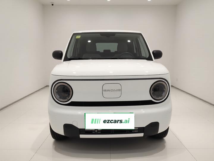 2024 Panda mini 200km Endurance Bear photo 2