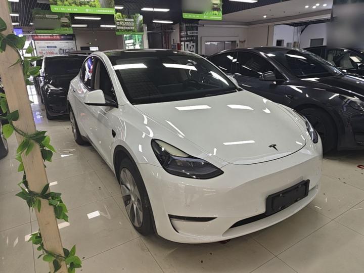 Model Y 2021 Standard Range RWD photo 3