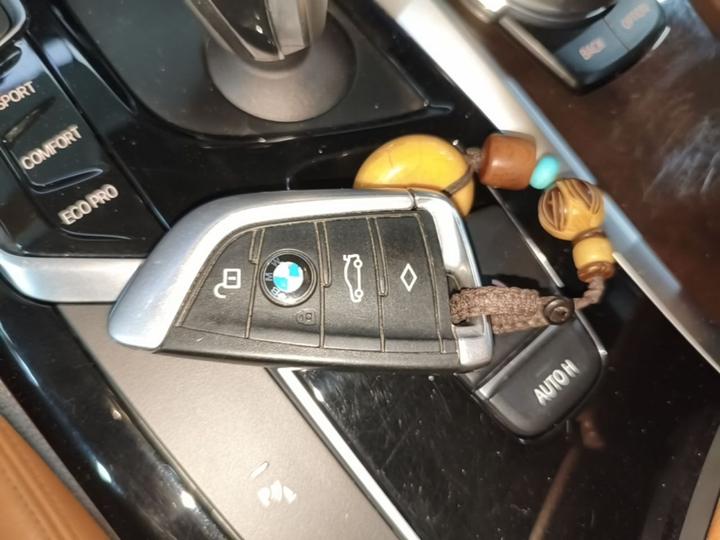 5 Series 2018 528Li Special photo 8