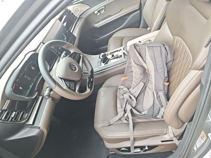 Han 2020 DM AWD Performance Premium photo 7