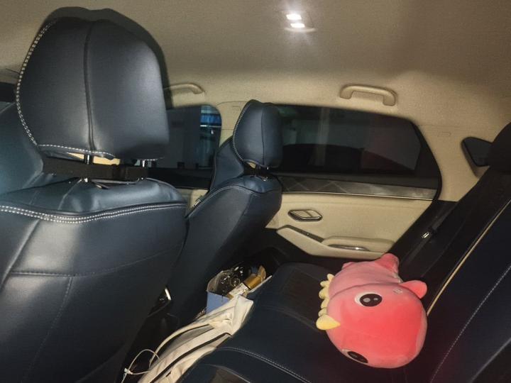 Qin L 2024 DM-i 80KM Leading photo 8