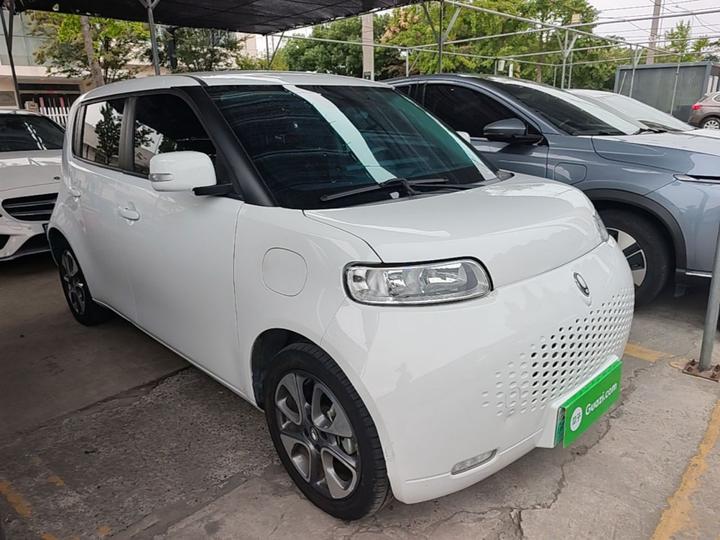 2022 Upgraded 305km Luxury NCM photo 3