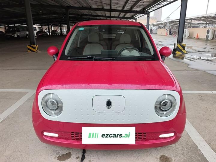 2019 351km photo 2