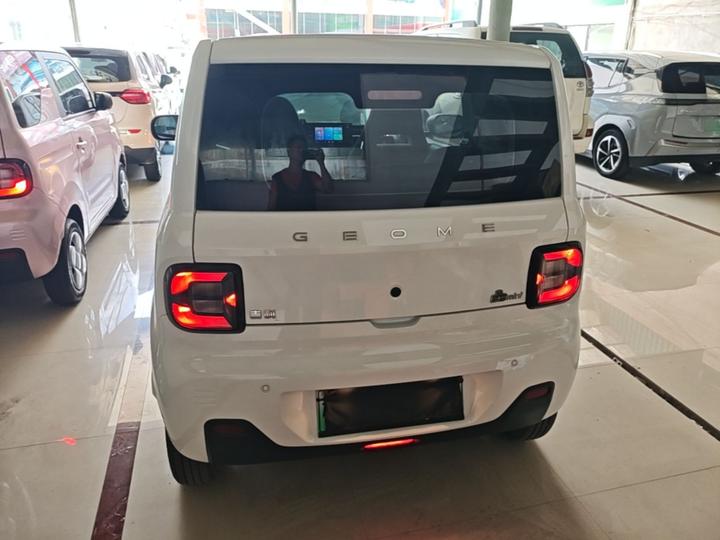 2023 Panda mini 200km Endurance Bear photo 3