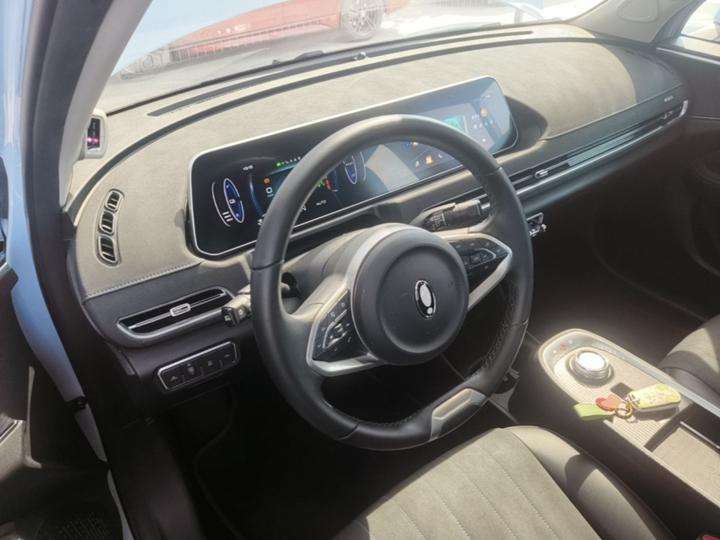 Good Cat 2021 400km Standard Range LFP photo 5