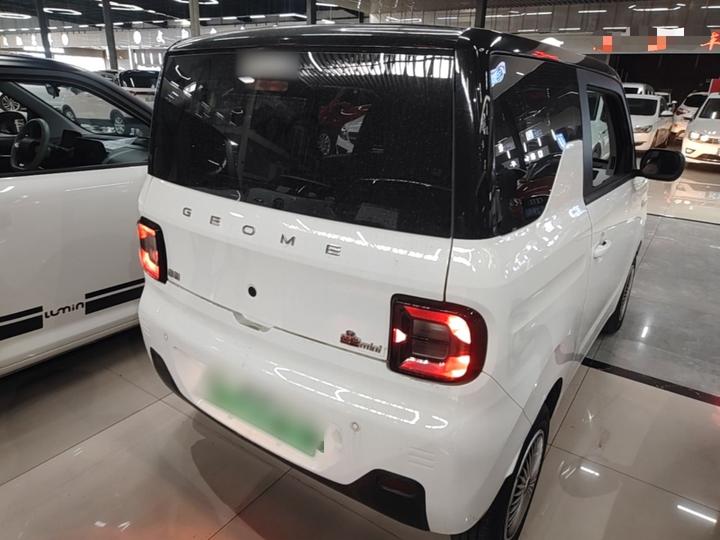 2023 Panda mini 200km Endurance Bear photo 6