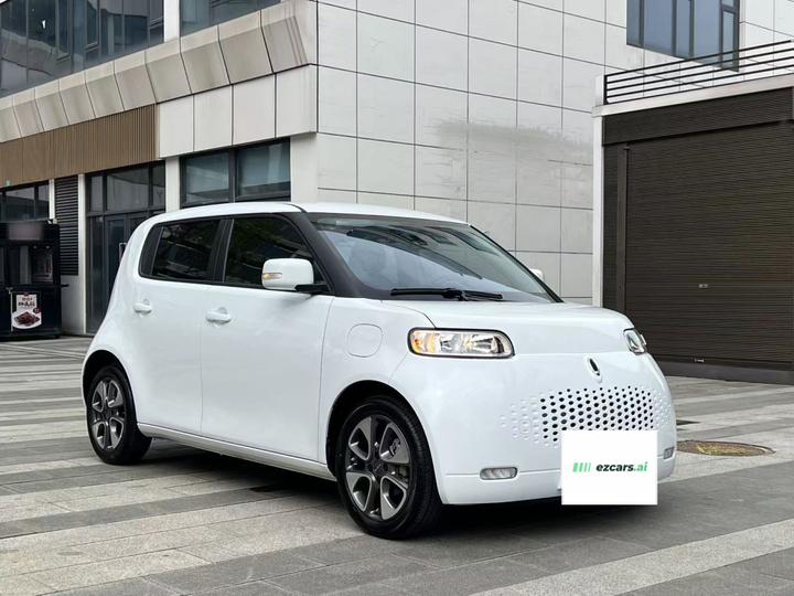 2022 Upgraded 305km Luxury NCM photo 3