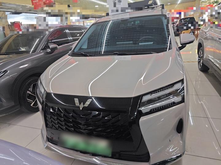 730 EV 2025 125km Luxury photo 2