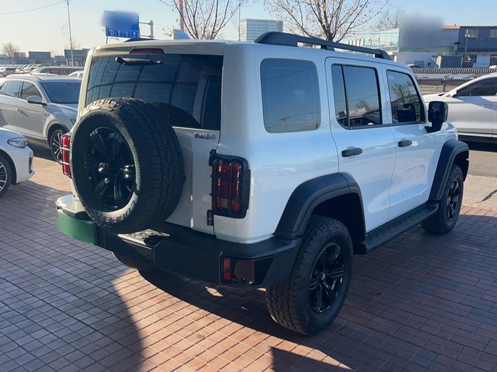 300 2023 Off-road 2.0T Conqueror photo 4