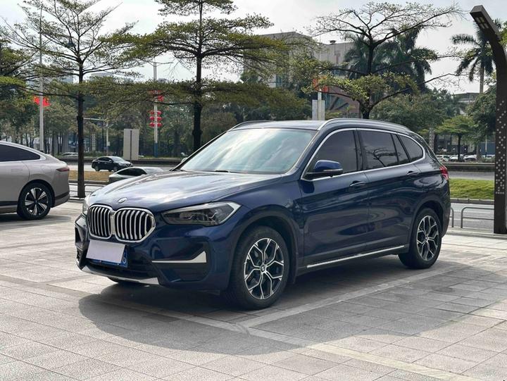 X1 2020 sDrive20Li Exclusive