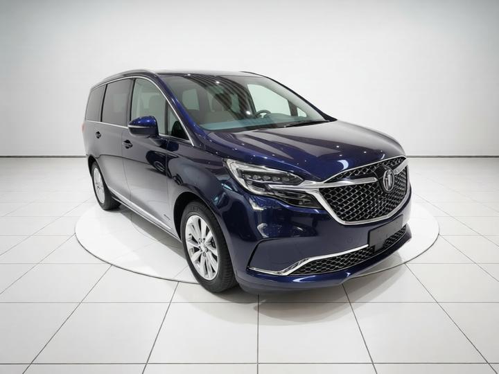 GL8 2021 Avenir 4-Seater photo 3